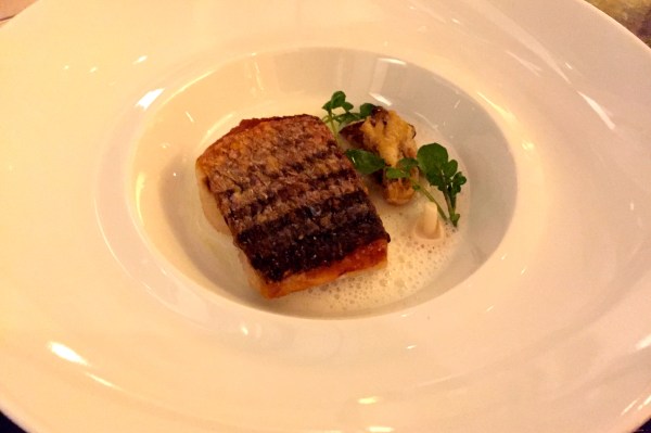 Wild Striped Bass